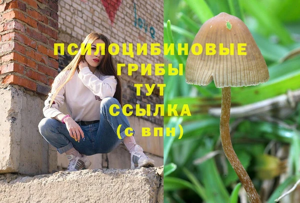 ешки Армянск