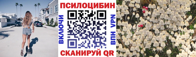 Псилоцибиновые грибы GOLDEN TEACHER  как найти закладки  Фокино 