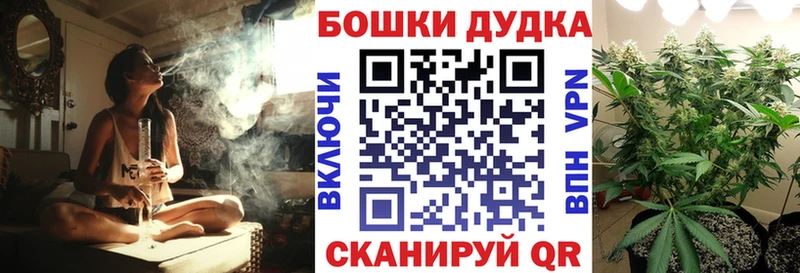 Каннабис индика  купить наркоту  Фокино 